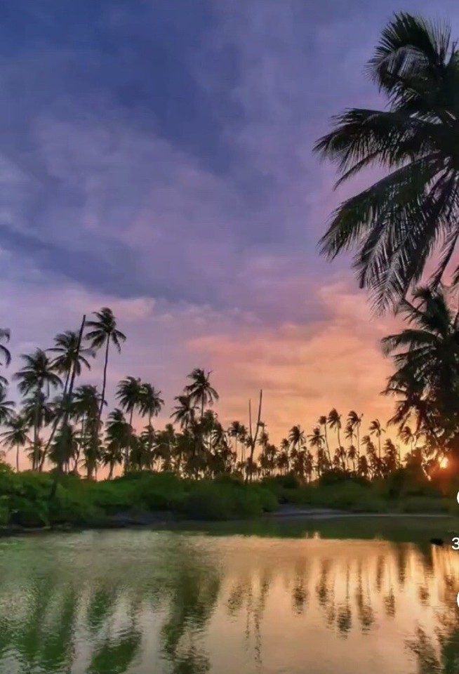 Land For Sale Florida 1.15 Acres Near Daytona Beach And cape Canaveral