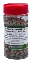 NaturesGoodGuys 500 Orius insidiosis - Minute Pirate Bugs - Thrip Control