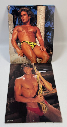SELTEN NEUWERTIG Vintage 1987 Chippendales Wandkalender ohne Schrift Pin-up männlich - Bild 3 von 5