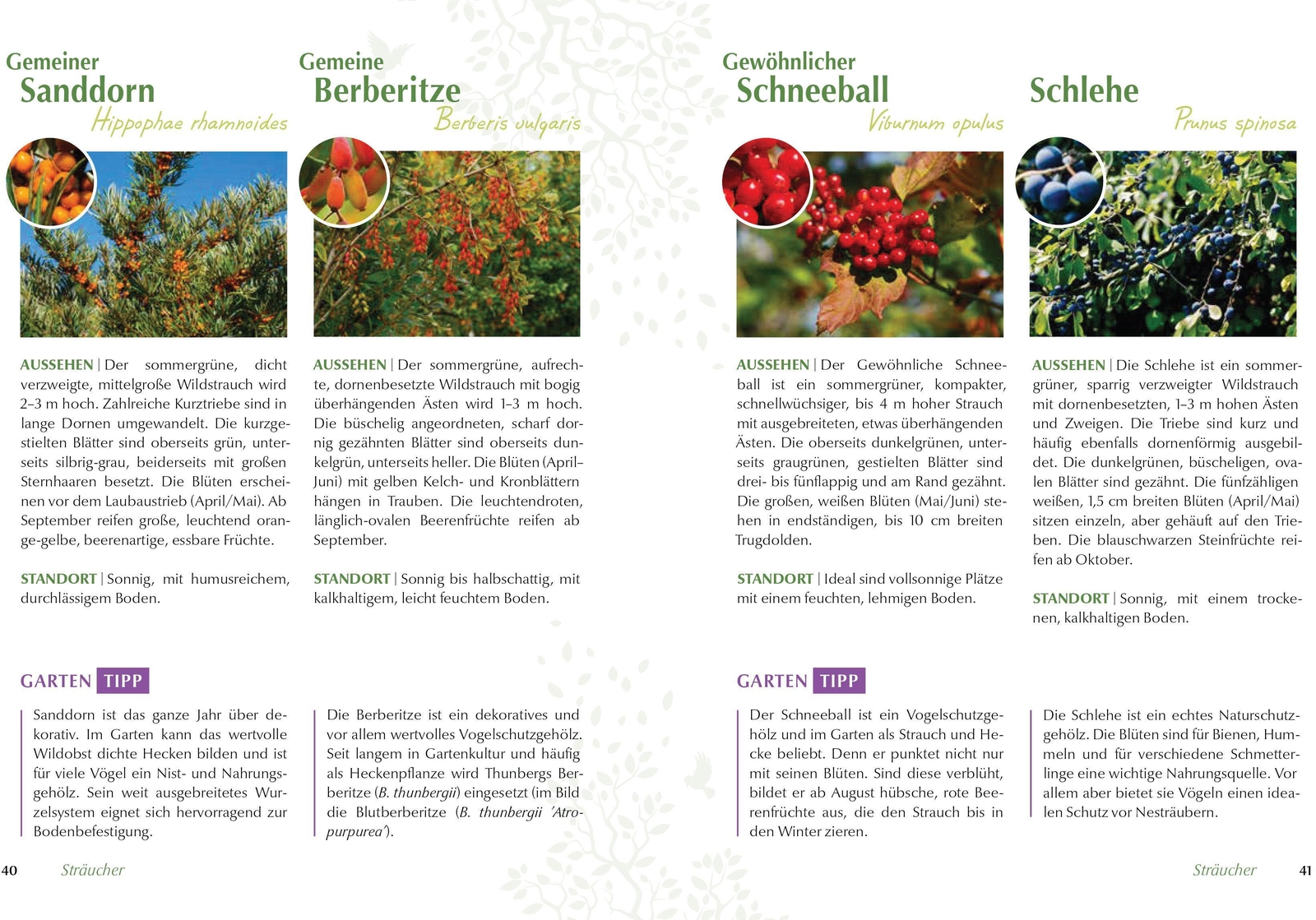 Thumbnail - Ursula Kopp | Mein Vogelfreundlicher Garten | Buch | Deutsch (2018) |