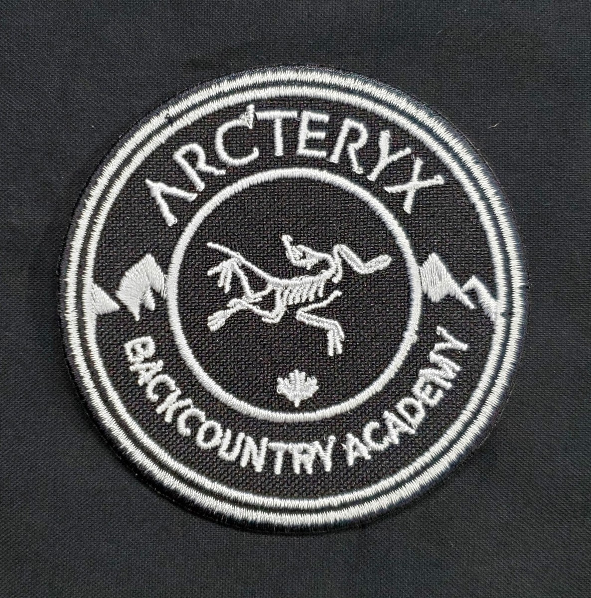 Archaeopteryx Embroidered Iron On Patch Ancient Wing Urvogel