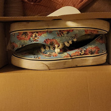 VANS Authentic Star Wars Yoda Aloha Low Top L...