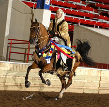 Arabian Mounted Native Costume