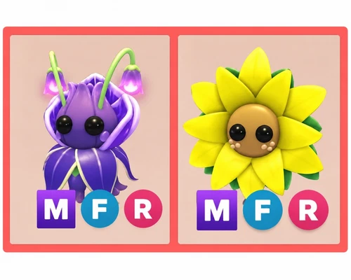 Violet Friend | Sunflower Friend | Adopt Now