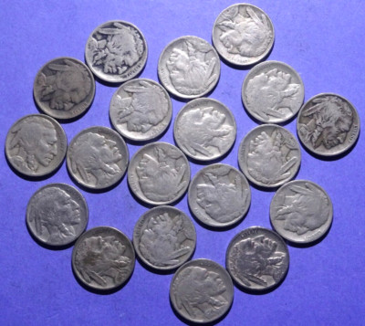 Lot of nineteen 1917 Buffalo Nickels   Good - Very Fine