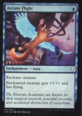Arcane Flight - Dominaria: #43, Magic: The Gathering Nm R142