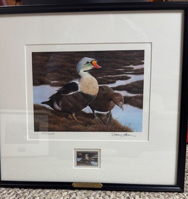 1991 King Eider Federal Duck Stamp Print - Black Frame