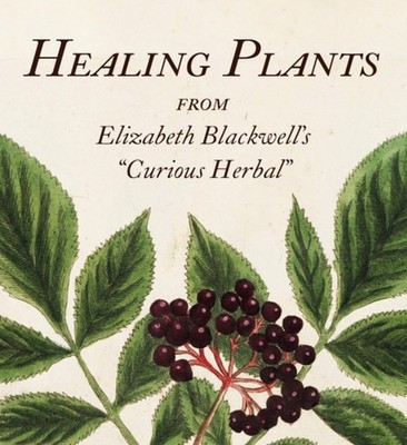 Healing Plants From Elizabeth Blackwell's ''Curious Herbal'' (Hardback Book)
