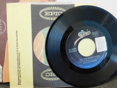 WILL TO POWER SAY IT'S GONNA RAIN / INSTRUMENTAL 45 RPM RECORD 055