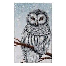 Bead Embroidery Kit Winter owl Bead stitching Beadwork DIY VDV