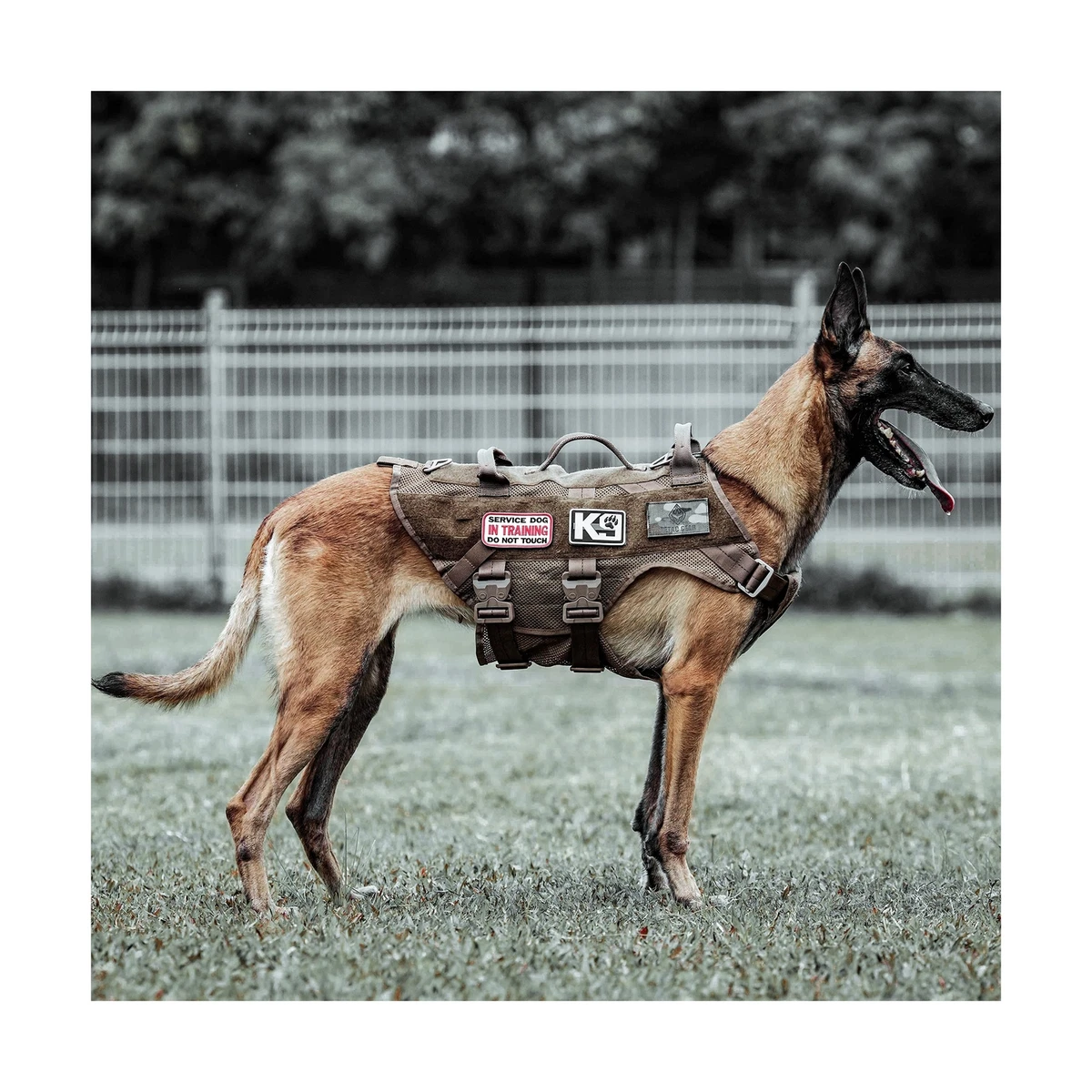 PETAC Gear Tactical Dog Harness K9 Dog Training Vest Adjustable Padded Police Service Dog Working Molle Vests for Large Medium Dogs Mals Gsd Lab ..