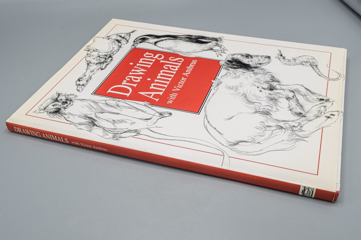 Drawing Animals by Victor Ambrus (2000, Hardcover) | eBay
