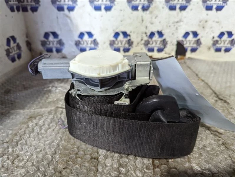 Seat Belt Front Convertible Passenger Retractor Fits 15-16 BMW M235i Foto 4 de 4