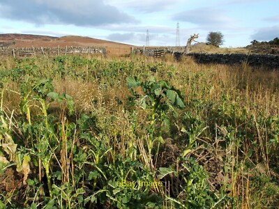 Photo 12x8 Field near Walton Farm Ardoch The same field is shown in [[2193 c2010