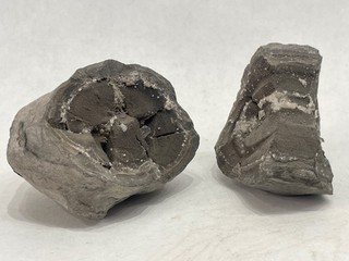 Célestine ou Célestine collection minéraux