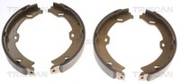 Triscan Bremsbackensatz Feststellbremse 8100 23031 FüR Mercedes Klasse W221 V221