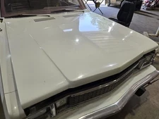 Hood Fits 80 ASPEN 598913