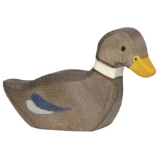 Holztiger Duck Hen Swimming