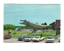 National Fresh Water Fishing Hall of Fame Hayward WI VTG Postcard UNP