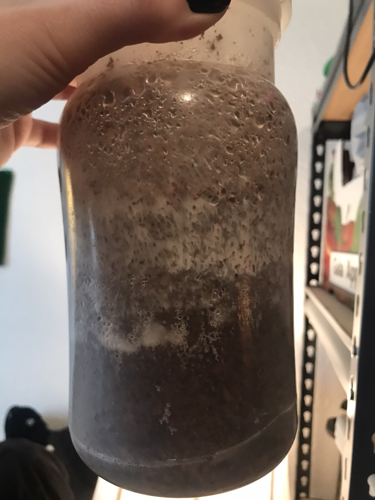 Reusable 1100ml mushroom grow bottles PP (Pack of 12) grow bag