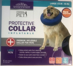 do cats eat spaghetti