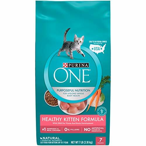 Purina ONE Healthy Kitten Formula Kitten Food (7 lb. Bag ...