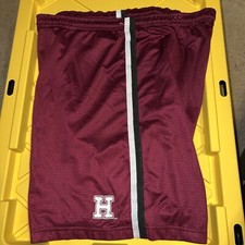 Vintage Nike Harvard Shorts VTG 90s Basketball Shorts NCAA Made In USA RARE XL