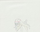 The Twelve Kingdoms Juuni Kokki Genga Douga Original Sketches Pierrot - Youko — photo 8