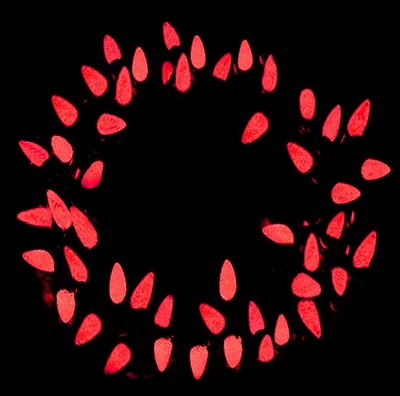 Red Indoor Christmas Lights Led Outdoor C3 Strawberry Mini Bulbs,18Ft 50 LEDs...