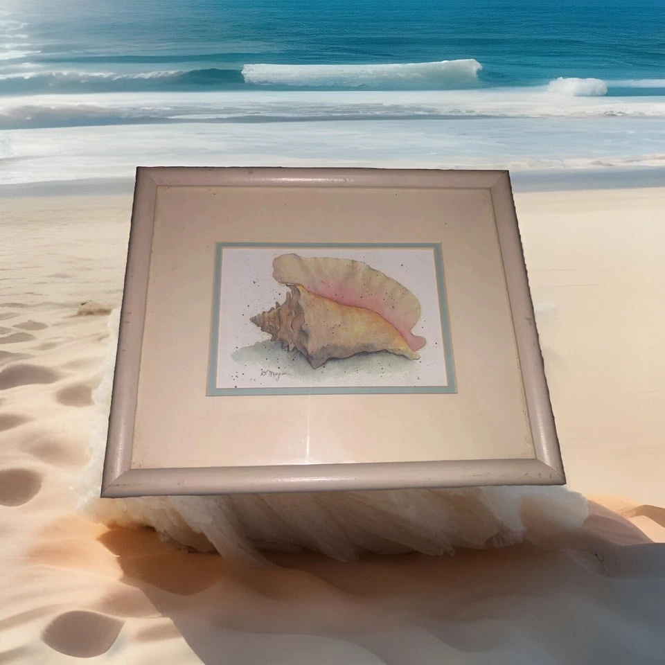 2pc Set Framed Wall Art Prints Picture Seashells. - Image 3 of 4