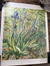 Vincent Van Gogh Irises Vertical Style Licensed Fine Art Print 22.5 x 28.4