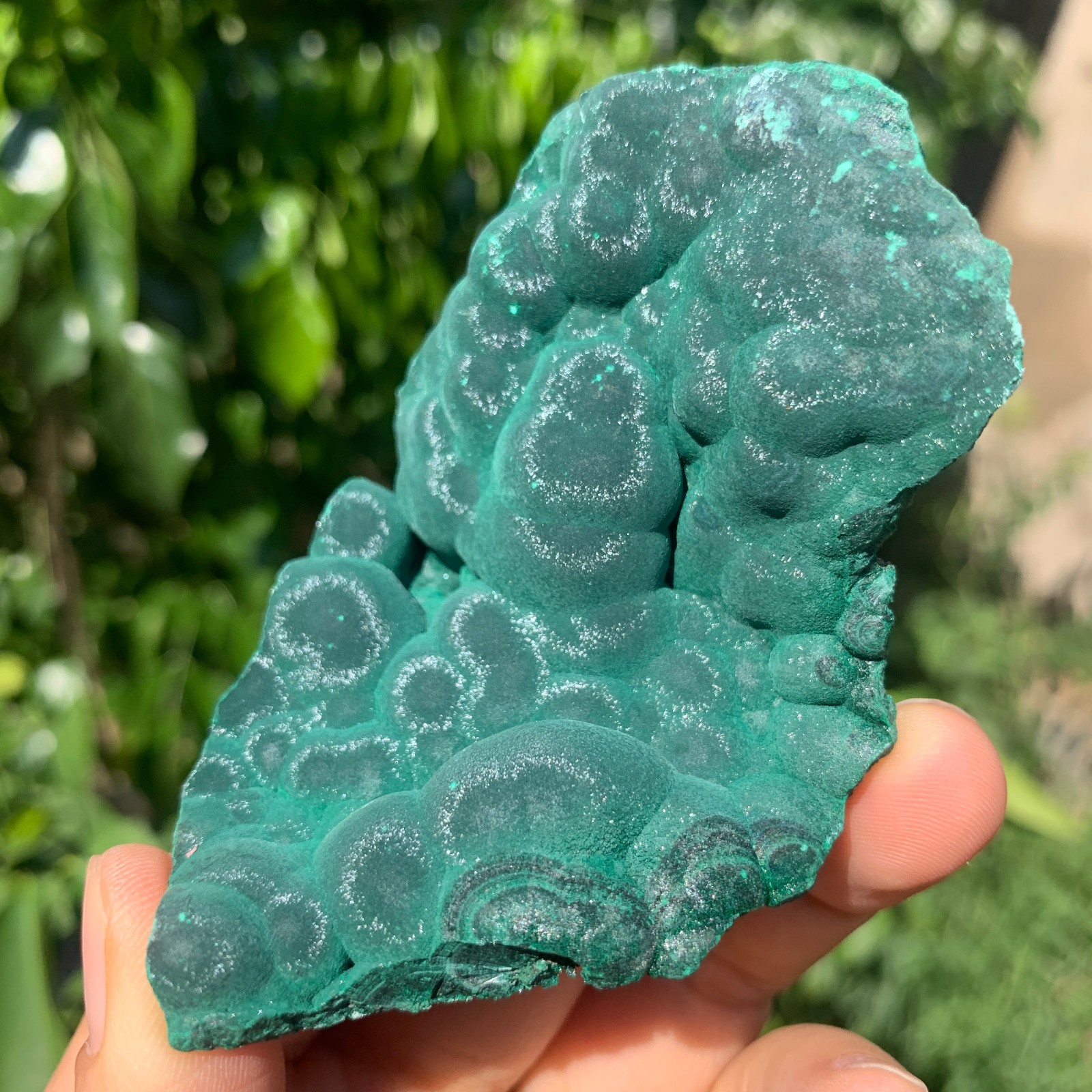 100G  Natural malachite velvet  quartz crystal luster mineral specimen
