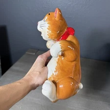 GANZ Orange & White Tabby Cat Ceramic Hanging Bird House Plant Peeker Read