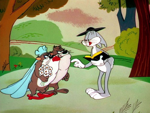 Looney Tunes: the Complete Series (DVD) - Picture 10 of 11
