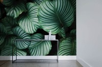 Nice Wall Cool Botanische Deko Tapete Foto Vliestapete 320X230 Cm GrüN