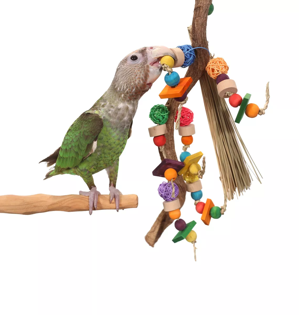 Parrot enrichment outlet toys