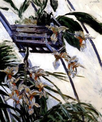 ORCHIDS PLANT GARDEN FLOWER 1893 IMPRESSIONIST PAINTING BY CAILLEBOTTE REPRO