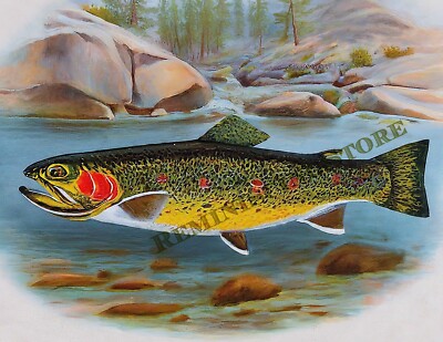 Kern River trout (Salmo irideus gilberti Jordan) Vintage picture art #10 Reprint