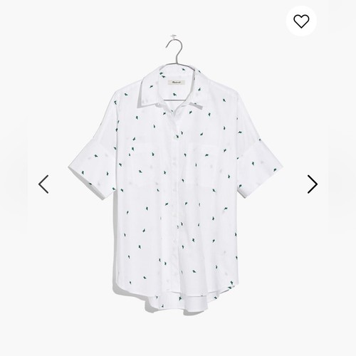 Madewell Embroidered Cactus Courier 