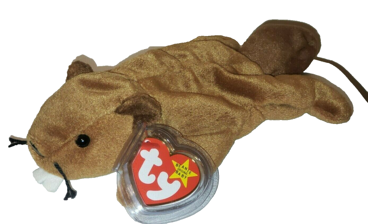 Ty Beanie Baby - BUCKY the Beaver (8.5 Inch) NEW MWMTs Stuffed