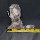 Ty Beanie Boos Linus The Lemur — photo 6
