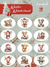 Honeybug MAGNETIC reborn doll PACIFIER WINTER WONDERLAND SPRINKLES 1 sheet of 12