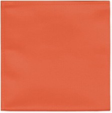 Jacob Alexander Men's Orange Polyester Pocket Square