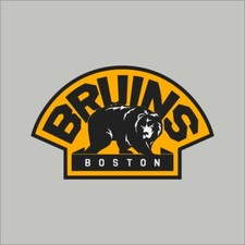 Boston Bruins 5 NHL Team Pro Sports Vinyl Sticker Decal Car Window Wall