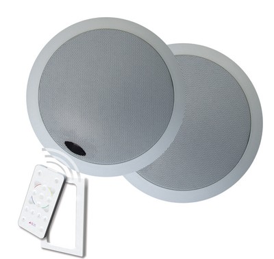 A-Bus/Direct 6.5in Active In-Ceiling Speakers