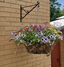 Summer Flowering Moss Filled Hanging Real Baskets  14" DIY KITS