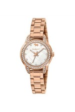 Radley Ladies Stone Set 26mm Casual Watch RY4648