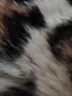 Bild 15 von 24