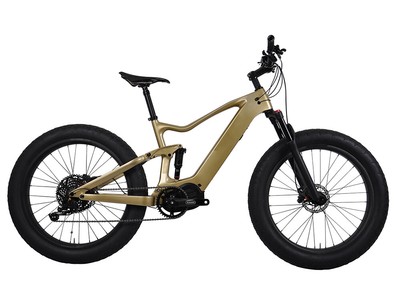 fat bike ebay
