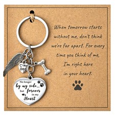 Pet Memorial Gifts for Dogs, Keepsakes Sympathy Remembrance Keychain, Pet Los...